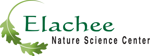 Elachee Nature Science Center